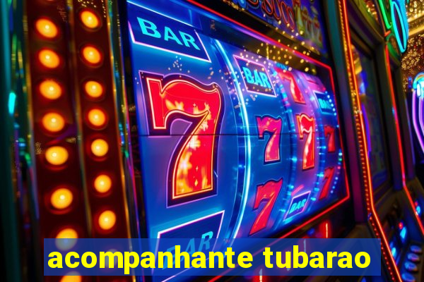 acompanhante tubarao